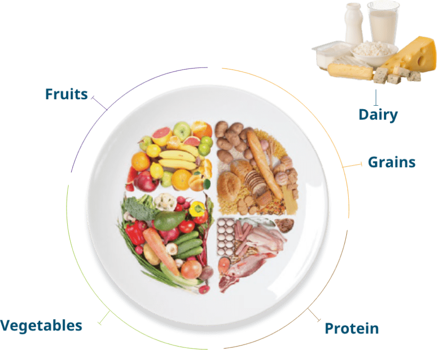 What is a Healthy plate